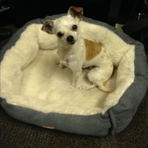 Meet your Posher, Bushra